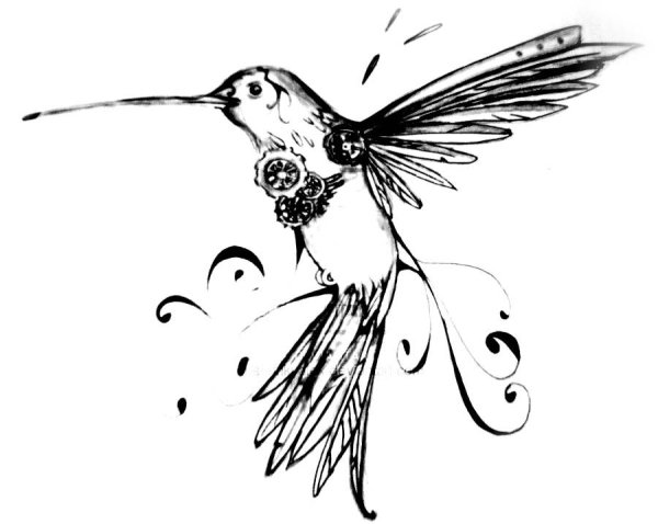 Колибри эскиз