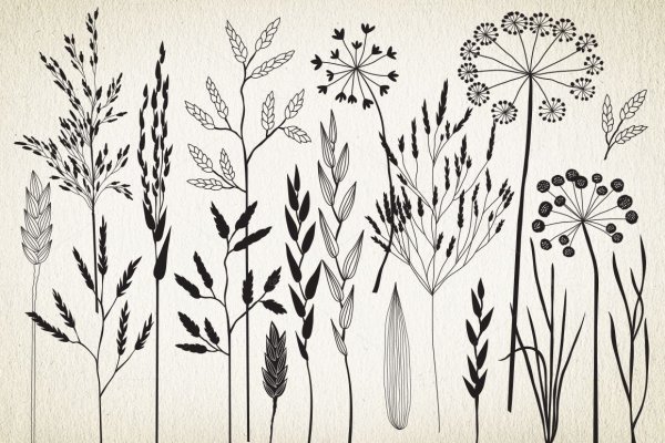 Стилизация растений