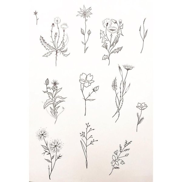 Тату полевые цветы эскизы