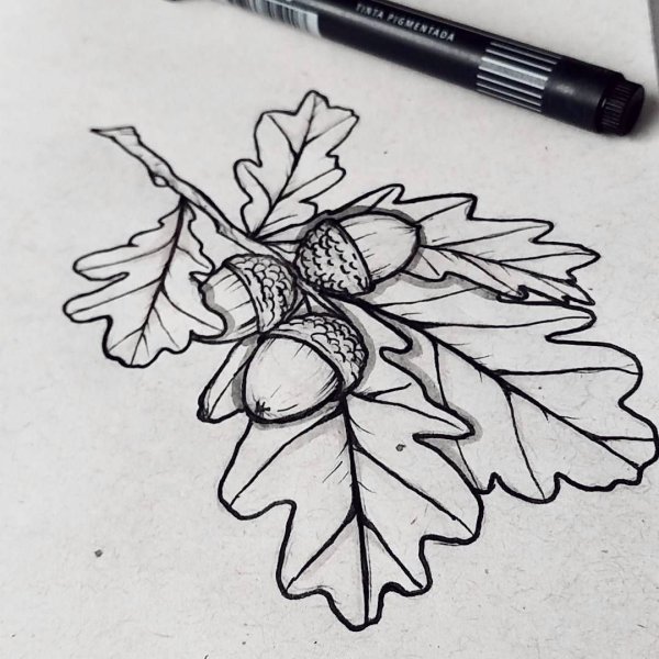 Тату дубовые листья