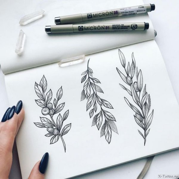 Тату веточка
