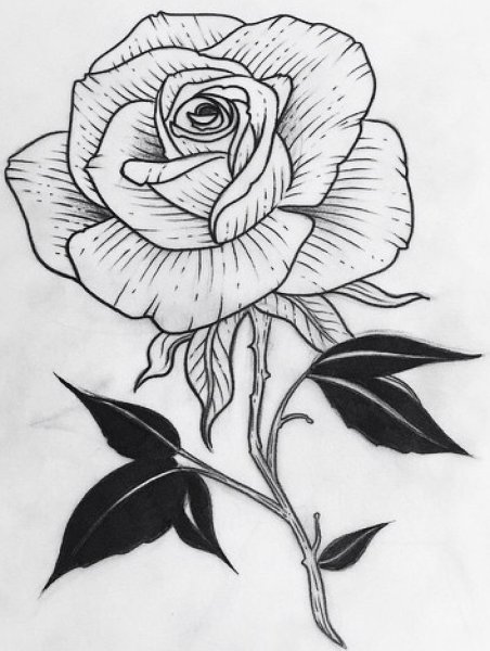 Роза черной гелевой ручкой