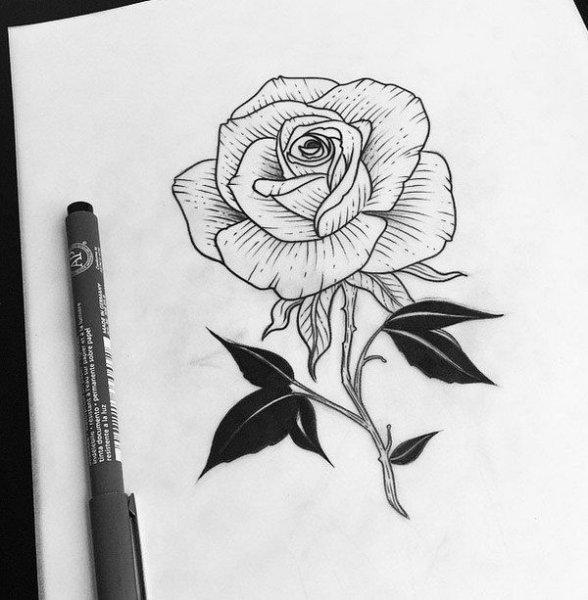 Цветы ручкой