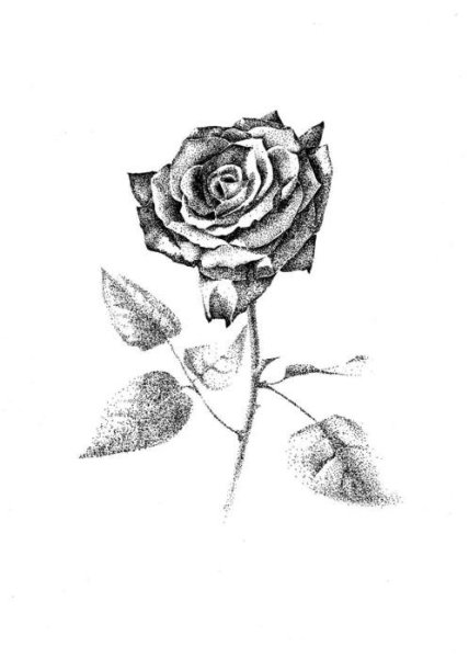 Рисунки точками гелевой ручкой