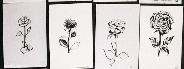 Рисование гелевыми ручками розы