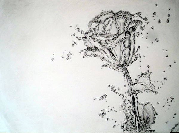 Роза черной ручкой