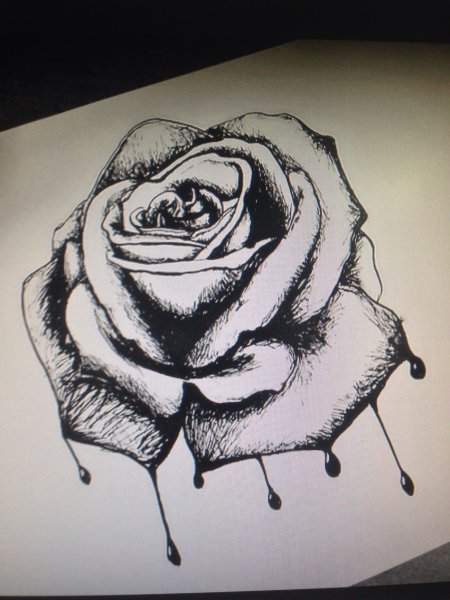 Роза ручкой