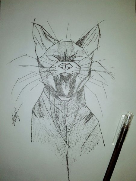 Ручка черный кот