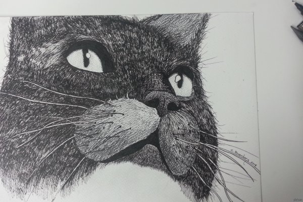 Кот гелевой ручкой