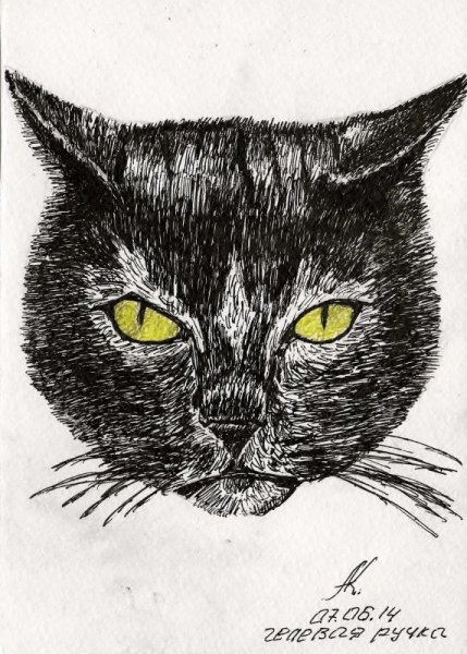 Кошка гелевой ручкой