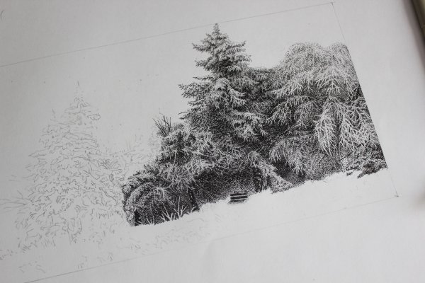 Пуантель линером