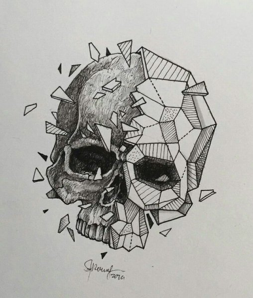 Kerby Rosanes геометрические животные тату