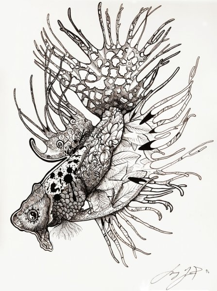 Стилизация бета Фиш