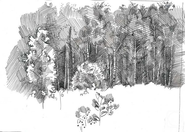 Перо для рисования тушью