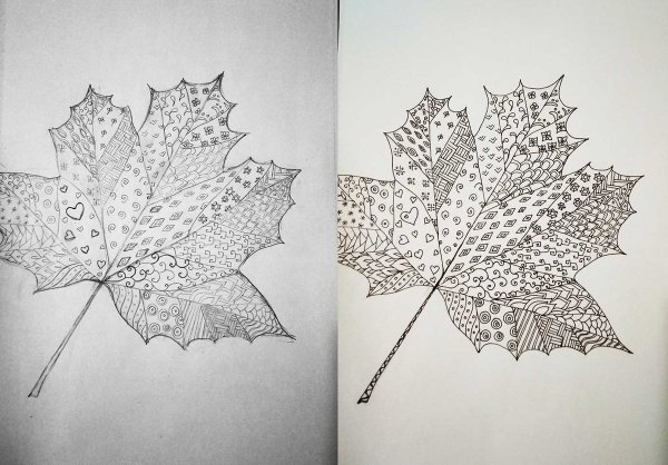 Листья карандашом