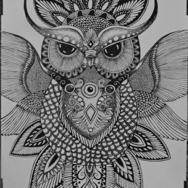 Сова Графика