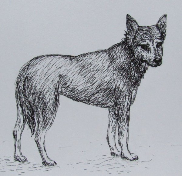 Ручка "собака"