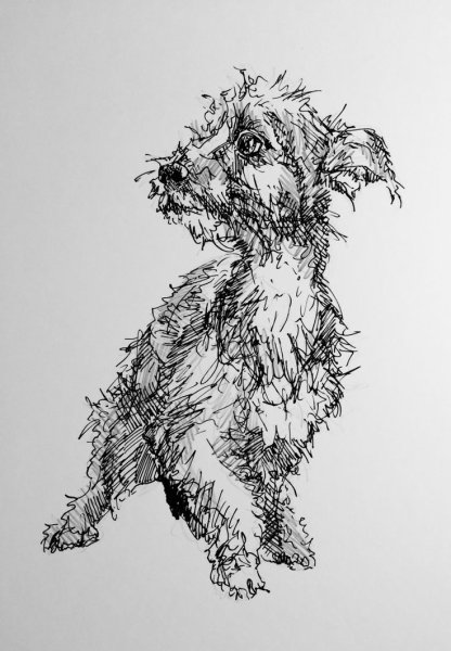 Собака гелевой ручкой