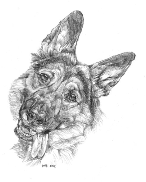 Собака гелевой ручкой