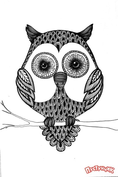Эскиз тату Сова на спине
