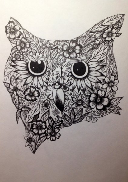 Зентангл животные Сова