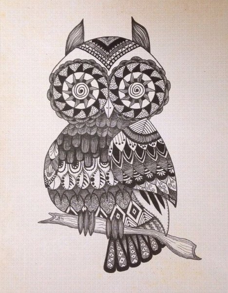 Сова в стиле дудлинг и Зентангл