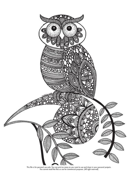 Сова черной ручкой