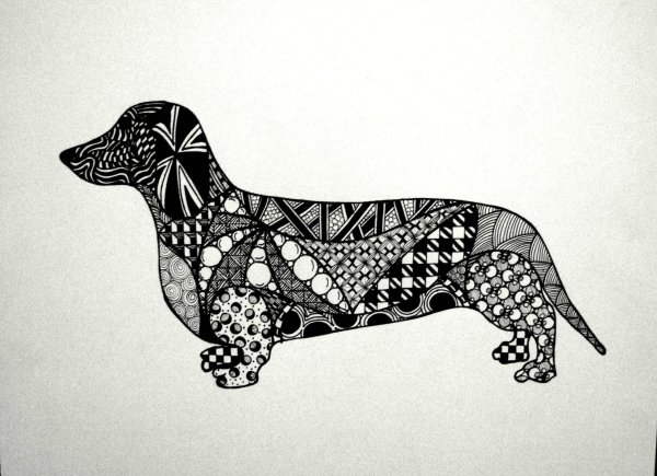 Волк рисунок ручкой