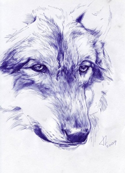 Альфред баша