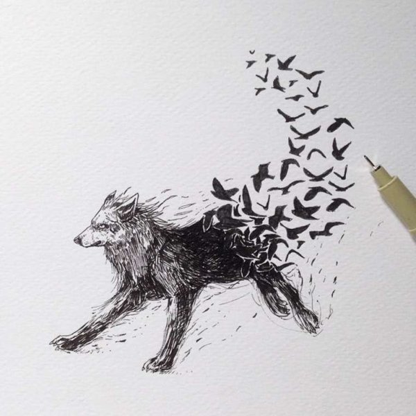 Лиса черной ручкой