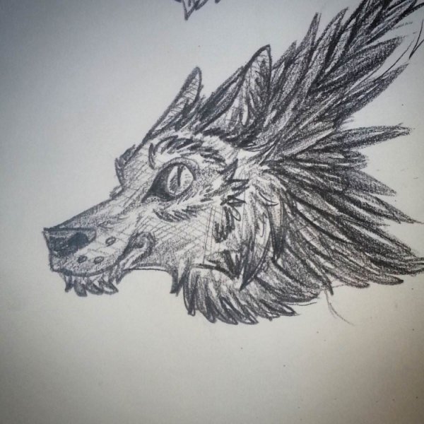 Дудлинг волк