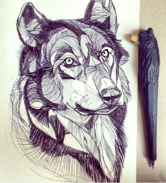 Волк гелевой ручкой