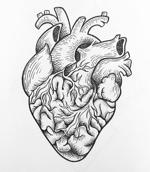 Рисунки черной ручкой Эстетика