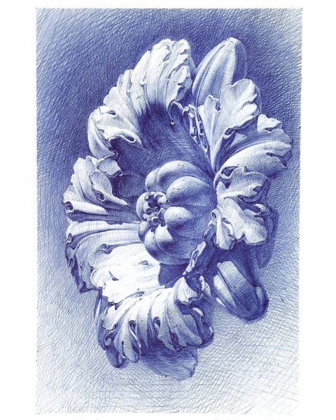 Узоры шариковой ручкой