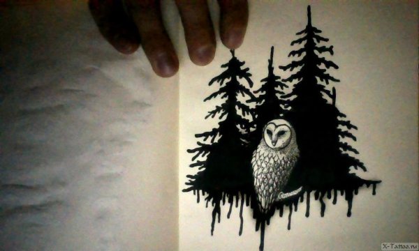 Тату эскиз Сова блэкворк