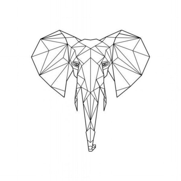 Абстракция из линий