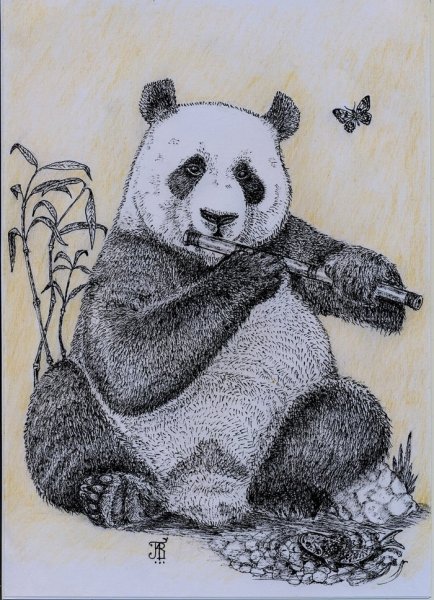 Панда цветными карандашами
