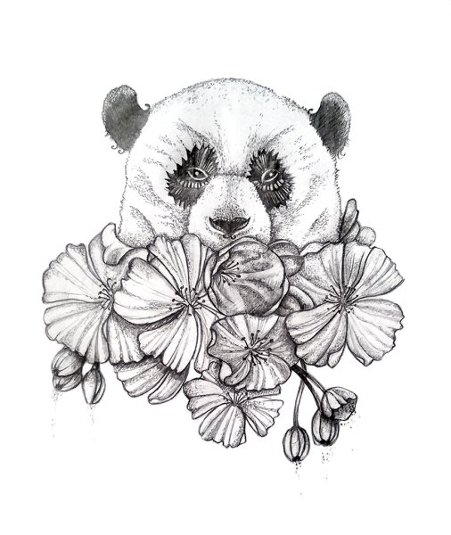 Графические животные Панда