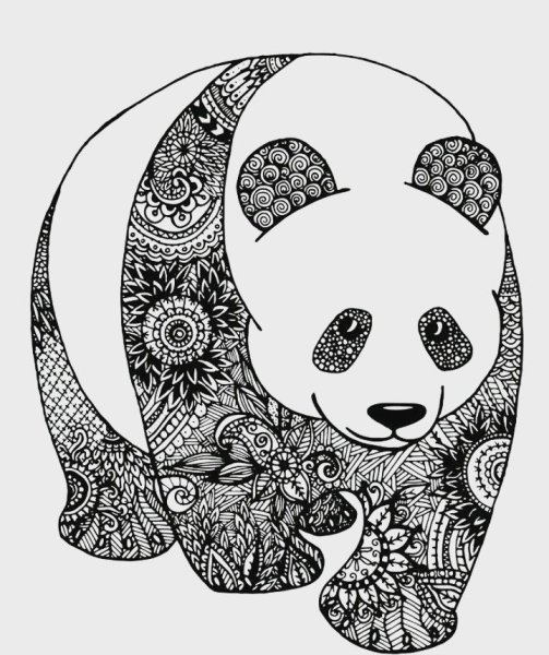 Зентангл Панда