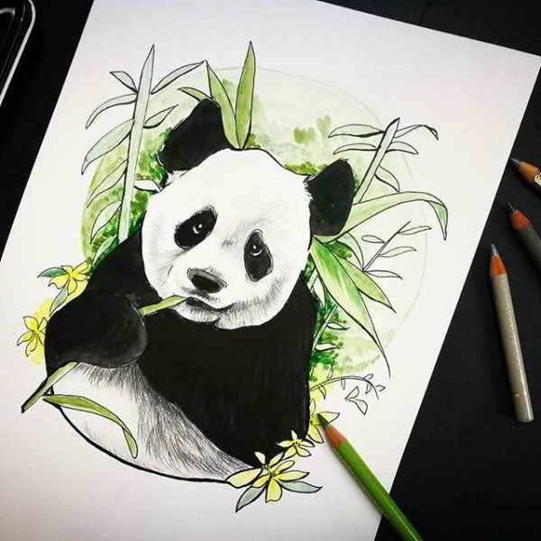 Рисунокимаркерами Панда