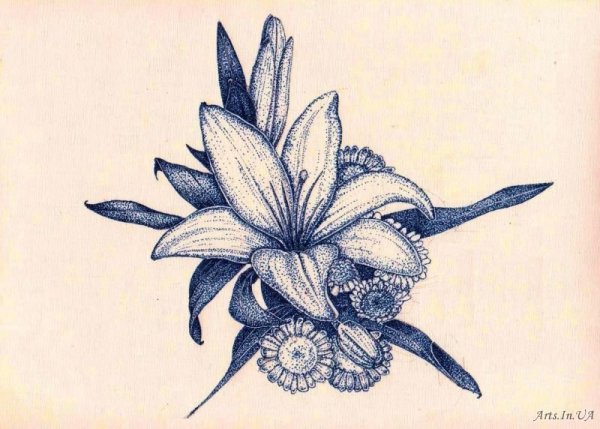 Лилии черной ручкой