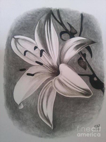 Лилия в графике тату