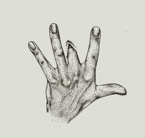 Простые рисунки черной ручкой