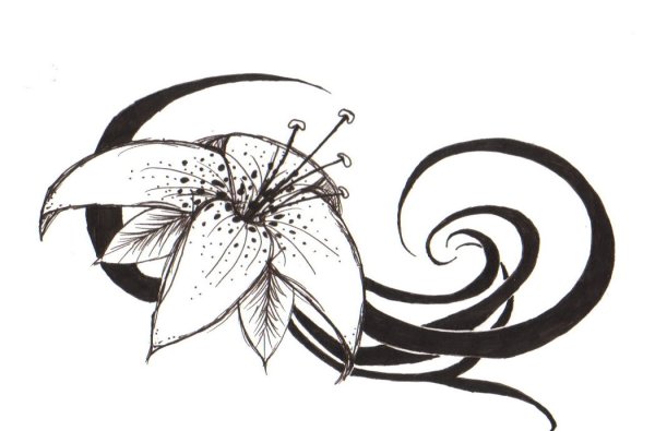 Тигровая Лилия тату эскиз