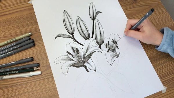 Цветы лилии букет рисунок карандашом