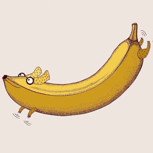 Кот из банана