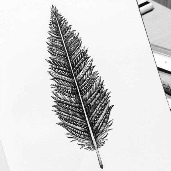 Перо черной ручкой