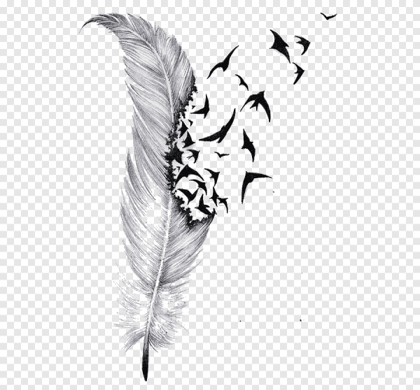 Перо тату эскиз