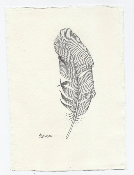 Перо рисунок Минимализм