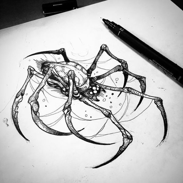 Паук тату эскиз
